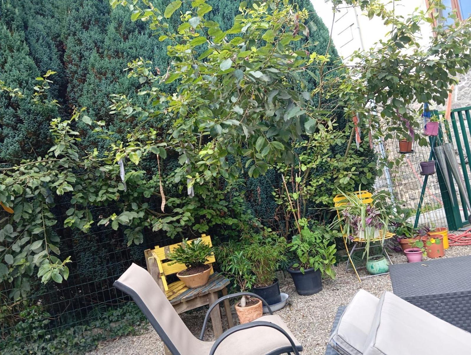 Au Pied Du Gazon Apartamento Saint-Maurice-sur-Moselle Exterior foto